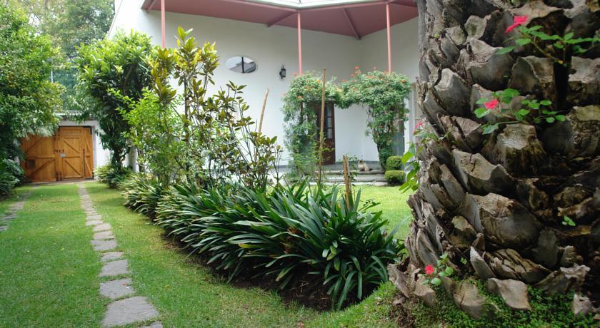 La Casa De Las Magnolias Coyoacan Bagian luar foto