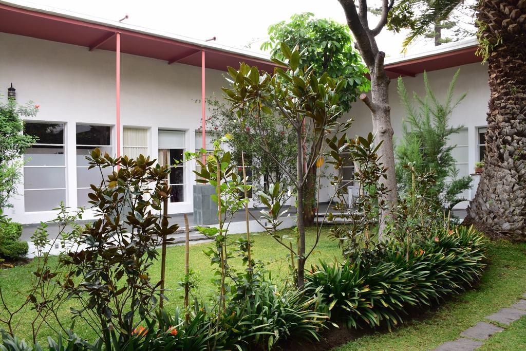 La Casa De Las Magnolias Coyoacan Bagian luar foto