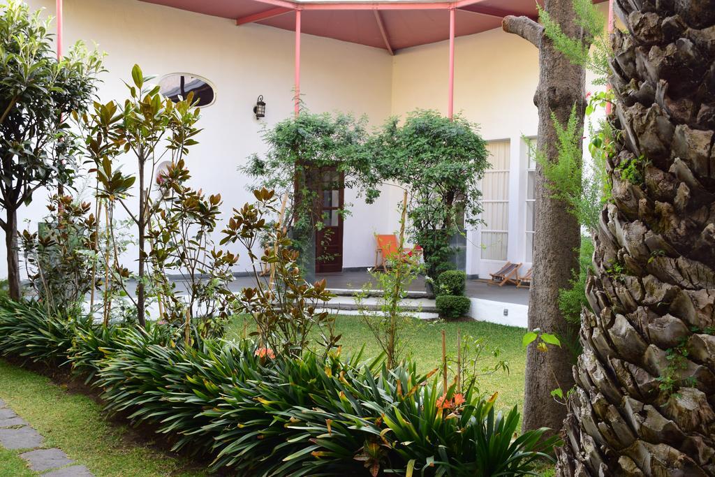 La Casa De Las Magnolias Coyoacan Bagian luar foto