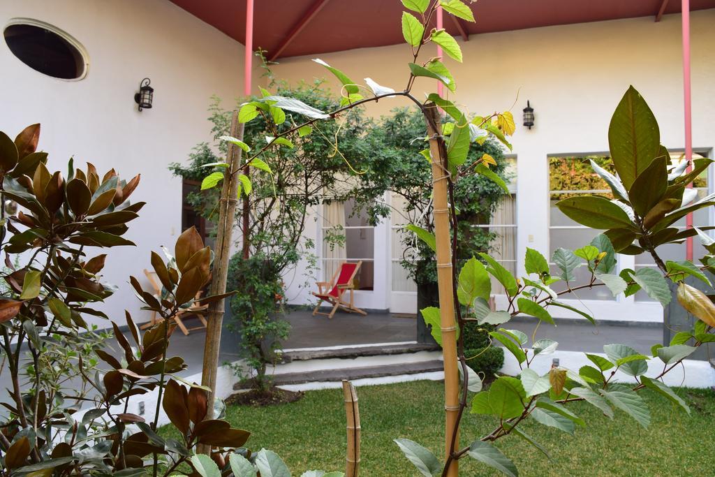 La Casa De Las Magnolias Coyoacan Bagian luar foto