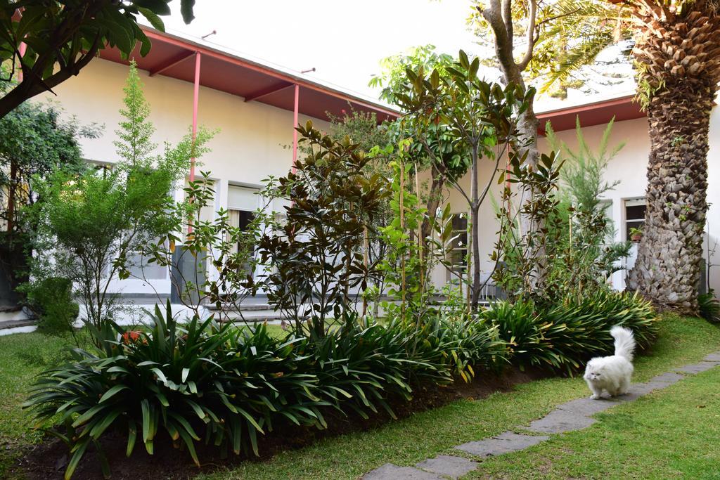 La Casa De Las Magnolias Coyoacan Bagian luar foto