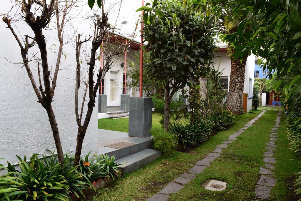La Casa De Las Magnolias Coyoacan Bagian luar foto